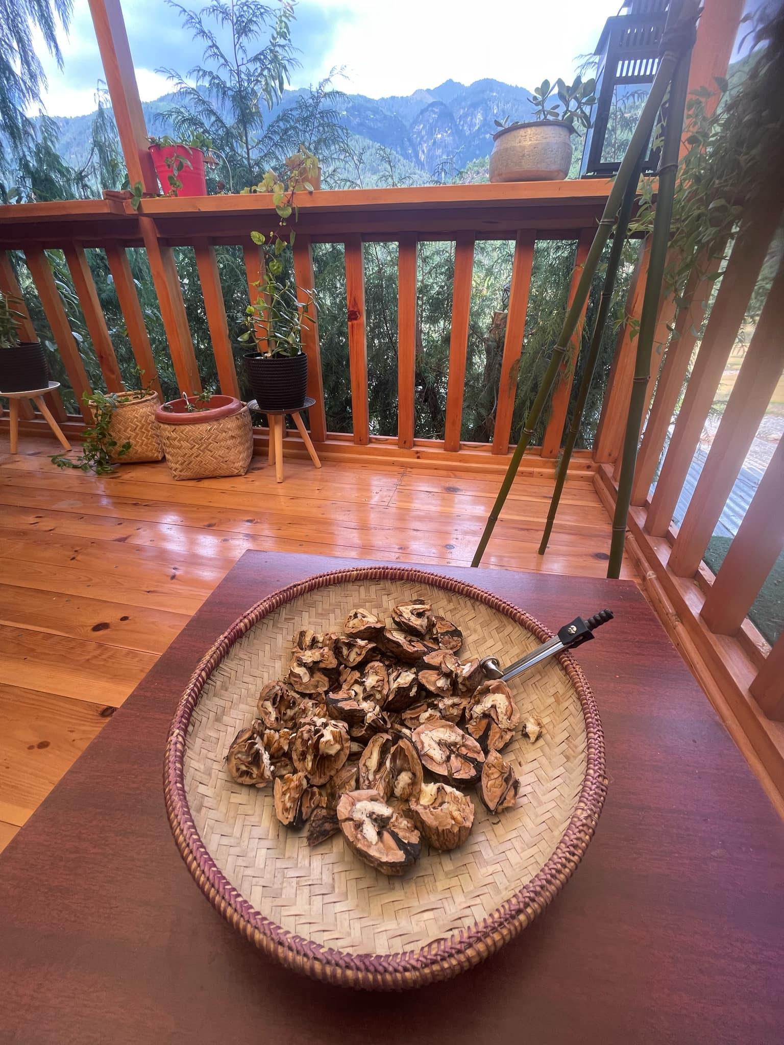 Walnuts on the terrace with mountain backdrop